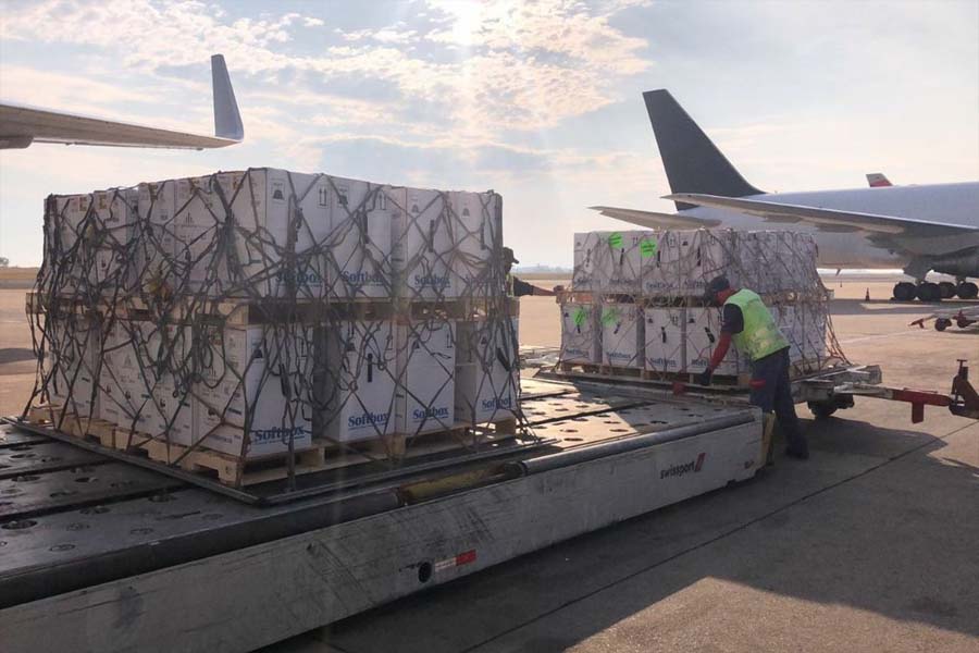 Covid-19: país recebe lote com 2,4 milhões de vacinas da Pfizer - News Rondônia