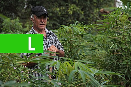 PEQUENOS PRODUTORES DE RONDÔNIA PODEM FAZER O CADASTRO AMBIENTAL RURAL ATÉ DIA 31 - News Rondônia