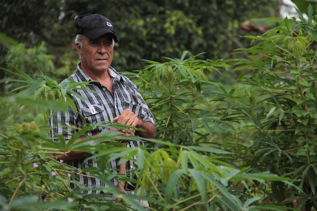 PEQUENOS PRODUTORES DE RONDÔNIA PODEM FAZER O CADASTRO AMBIENTAL RURAL ATÉ DIA 31 - News Rondônia