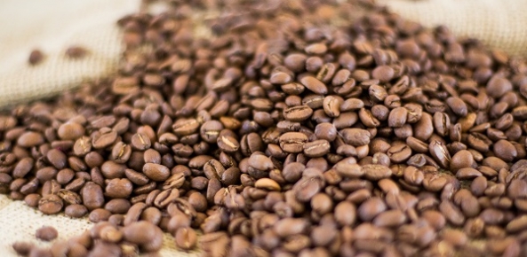 Conab inicia pesquisa para apurar estoques privados de arroz, café e trigo - News Rondônia