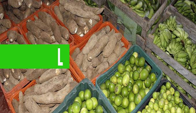 PROGRAMA DE AQUISIÇÃO DE ALIMENTOS DOBRARÁ PARA R$ 10 MILHÕES INVESTIMENTOS EM RONDÔNIA - News Rondônia