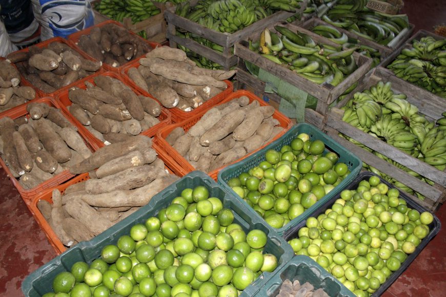 PROGRAMA DE AQUISIÇÃO DE ALIMENTOS DOBRARÁ PARA R$ 10 MILHÕES INVESTIMENTOS EM RONDÔNIA - News Rondônia