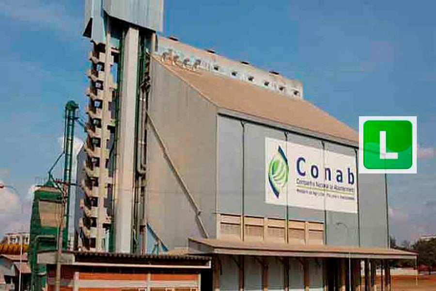Conab mostra no Boletim da Sociobiodiversidade o mercado positivo e o pagamento de subvenções a extrativistas - News Rondônia