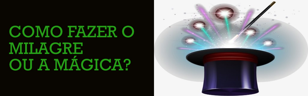PERSPECTIVAS PARA 2019: O ANO DO PORCO - News Rondônia