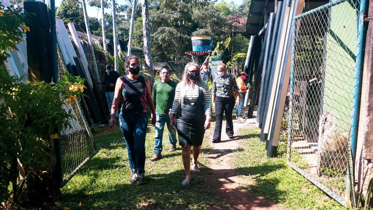Vereadora Márcia Socorristas Animais visita Viveiro Municipal - News Rondônia