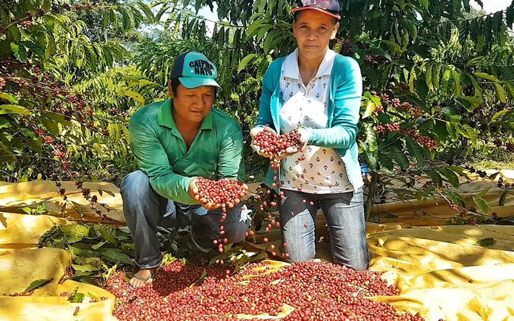 ANIVERSÁRIO: ESTUDANTES, ADVOGADOS E ENGENHEIROS TAMBÉM LUTARAM PELA INSTALAÇÃO DO ESTADO DE RONDÔNIA, QUE COMPLETA 37 ANOS - News Rondônia
