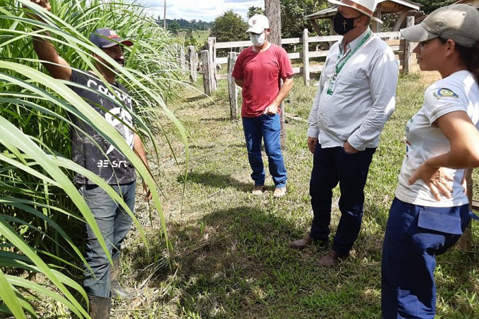 Emater ultrapassa barreiras e ajuda no desenvolvimento de pequenos produtores ao longo de 50 anos de trajetória - News Rondônia