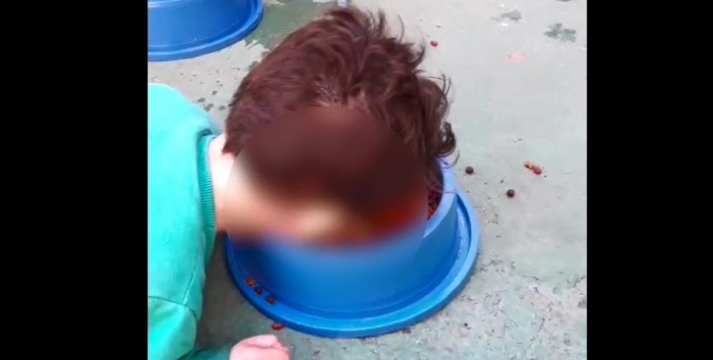 POLÍCIA INVESTIGA MÃE, APÓS VÍDEO DE MENINO COMENDO RAÇÃO DE CACHORRO, EM TRINDADE - News Rondônia