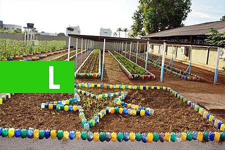 HORTA NA ESCOLA PRODUZ ALIMENTO NUTRITIVO PARA A MERENDA ESCOLAR - News Rondônia