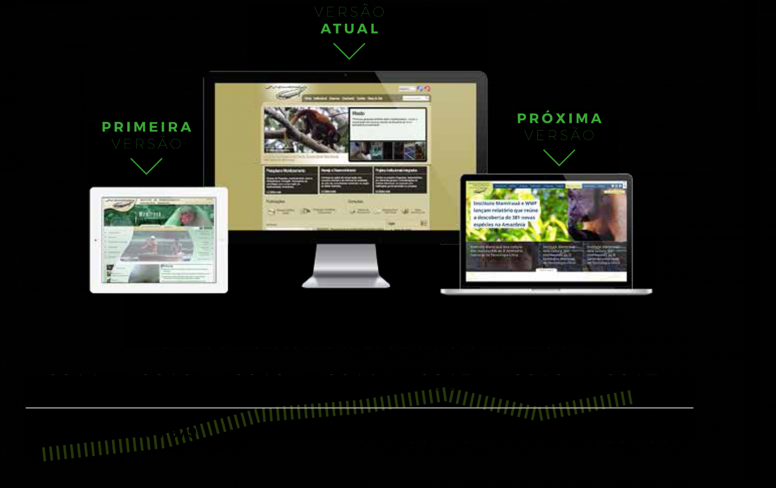 INSTITUTO MAMIRAUÁ VENCE PRÊMIO JOSÉ REIS DE DIVULGAÇÃO CIENTÍFICA E TECNOLÓGICA 2018 - News Rondônia