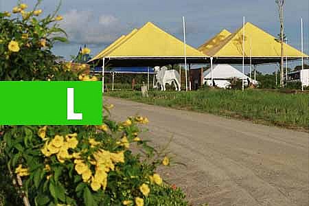 VITRINES TECNOLÓGICAS REVELAM AS BELEZAS DO CAMPO NA 8ª RONDÔNIA RURAL SHOW EM JI-PARANÁ - News Rondônia