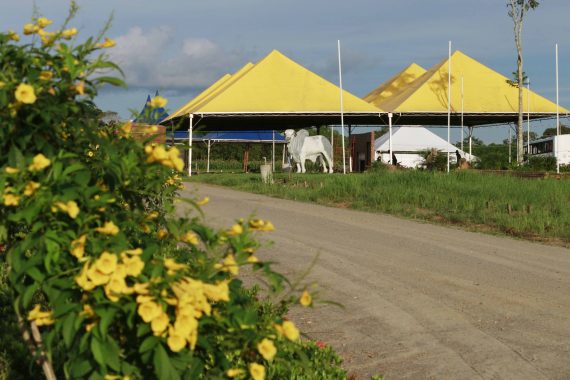 VITRINES TECNOLÓGICAS REVELAM AS BELEZAS DO CAMPO NA 8ª RONDÔNIA RURAL SHOW EM JI-PARANÁ - News Rondônia