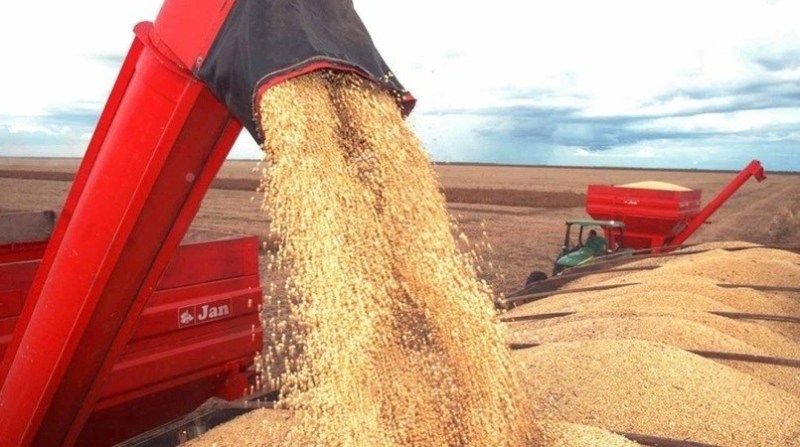 Conab divulga calendário de levantamento das safras agrícolas e do mercado hortigranjeiro - News Rondônia