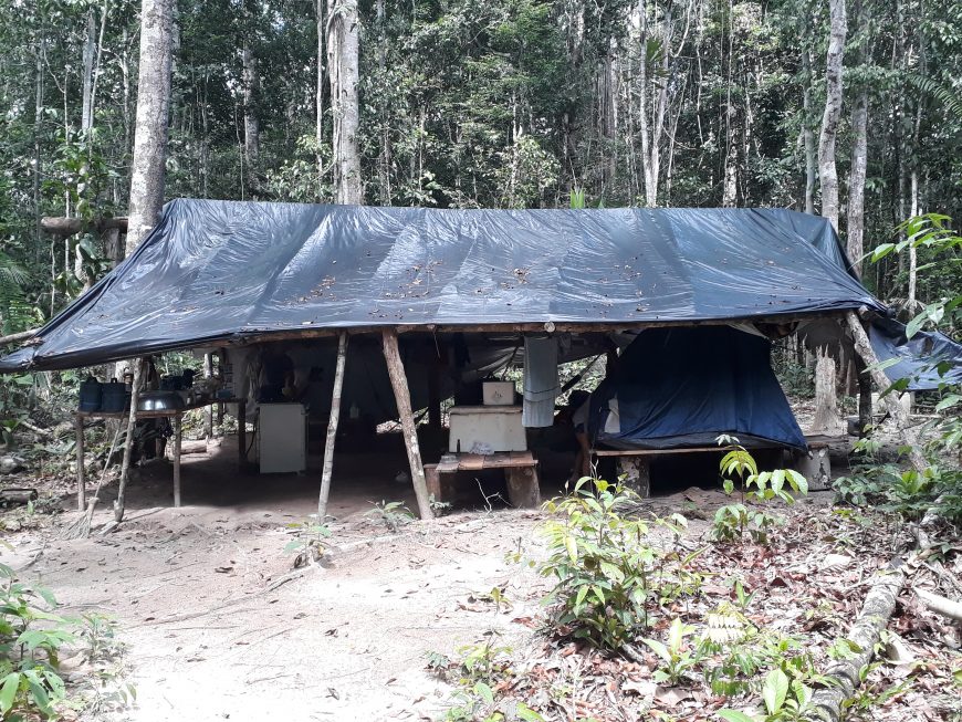 RONDÔNIA REGISTRA O PRIMEIRO CASO DE DOENÇA DE CHAGAS POR TRANSMISSÃO VETORIAL - News Rondônia