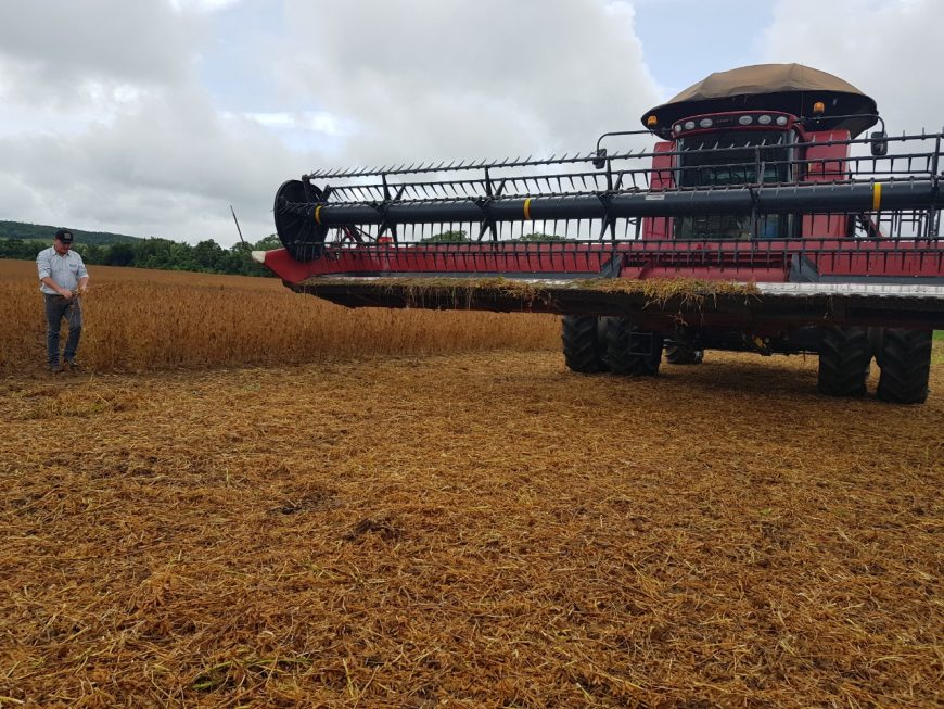 PRODUTORES DE PORTO VELHO INICIAM COLHEITA DE SOJA COM EXPECTATIVA ACIMA DE 37 MIL TONELADAS - News Rondônia