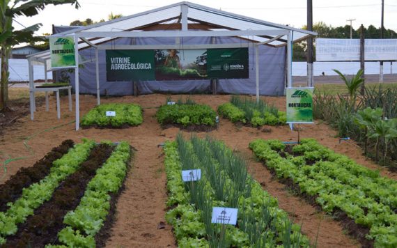 NEGÓCIOS - Governo alinha ações com expositores que vão participar da Rondônia Rural Show prevista para maio de 2022 - News Rondônia