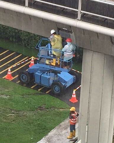O QUE VOCÊ VÊ NESSA IMAGEM? A RESPOSTA CERTA CHOCOU A INTERNET - News Rondônia