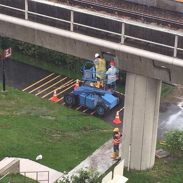 O QUE VOCÊ VÊ NESSA IMAGEM? A RESPOSTA CERTA CHOCOU A INTERNET - News Rondônia