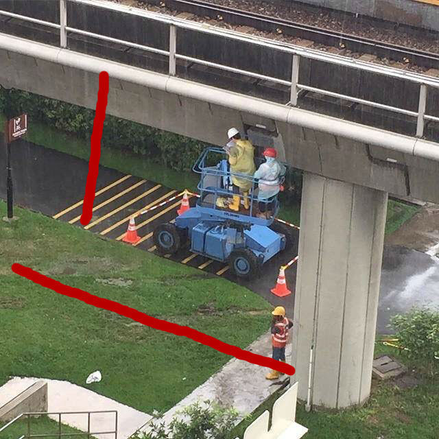 O QUE VOCÊ VÊ NESSA IMAGEM? A RESPOSTA CERTA CHOCOU A INTERNET - News Rondônia