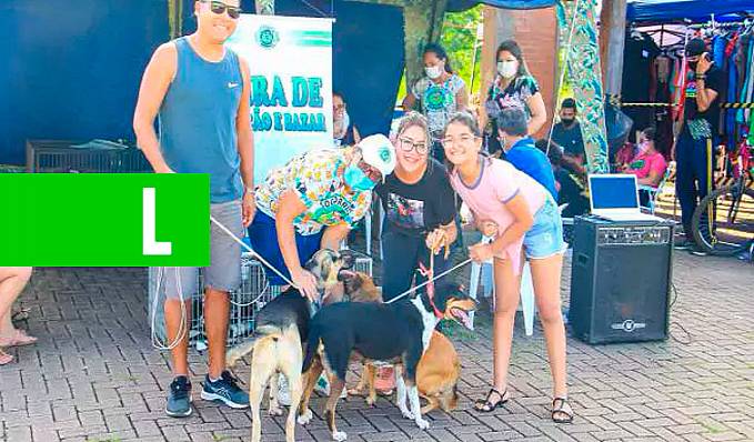 Apaixonada por bichos Márcia Socorristas Animais realiza bazar para ajudar animais abandonados - News Rondônia