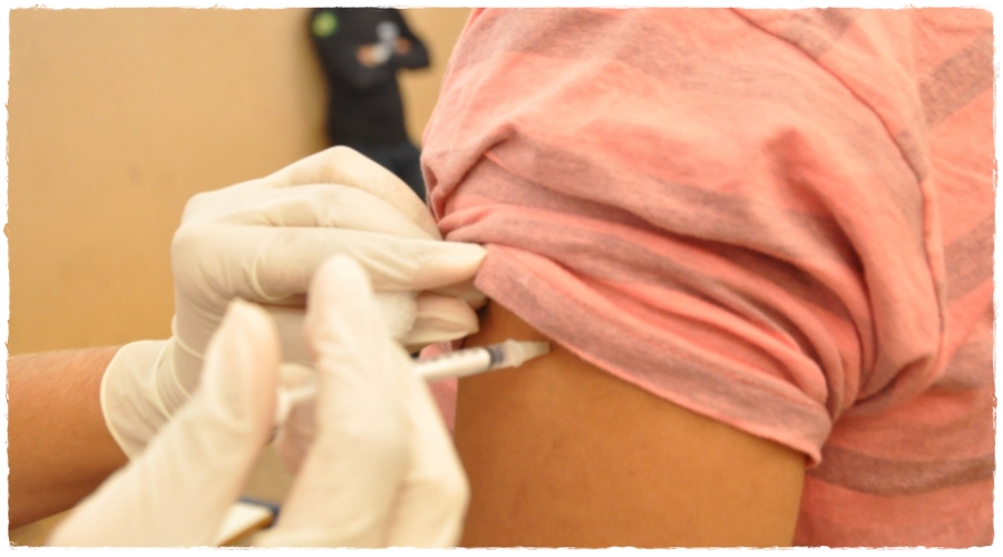 Sobe o número de óbitos pela epidemia do vírus da gripe H3N2 em Rondônia - News Rondônia