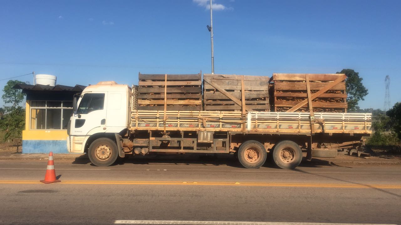 PRF FLAGRA TRANSPORTE IRREGULAR DE MADEIRA EM PORTO VELHO - News Rondônia