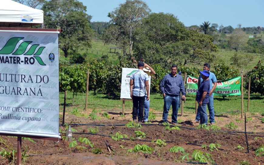 ASSISTÊNCIA TÉCNICA MOSTRA RESULTADOS POSITIVOS NA RONDÔNIA RURAL SHOW - News Rondônia