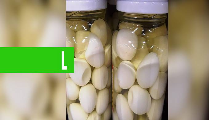 EMATER REALIZA CURSO DE CONSERVA DE ALIMENTOS PARA PRODUTORAS RURAIS DA LINHA UNIVERSO EM JI-PARANÁ - News Rondônia