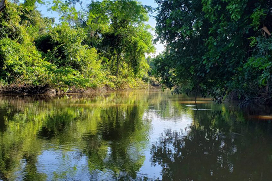Aos 35 anos, Alvorada dOeste cresce com a agropecuária e busca solução ambiental - News Rondônia