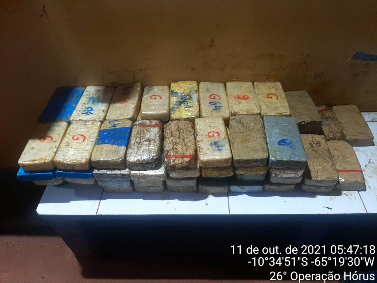 116 QUILOS - Cão da PMRO dá prejuízo a traficantes em Guajará-Mirim - News Rondônia