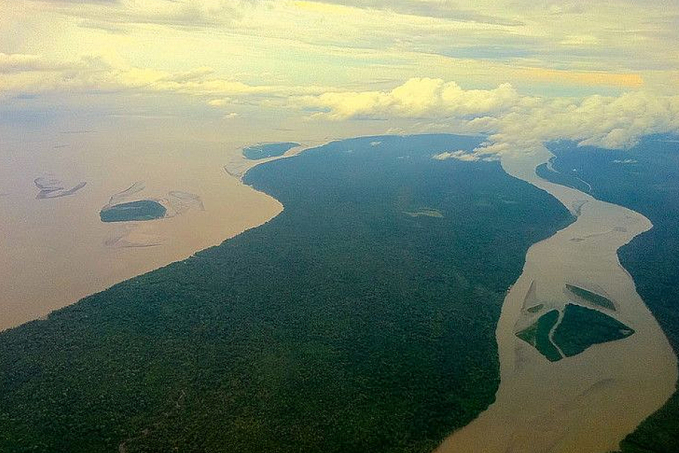 Dano ambiental é motivo mais recorrente para processos sobre meio ambiente em 2020 - News Rondônia
