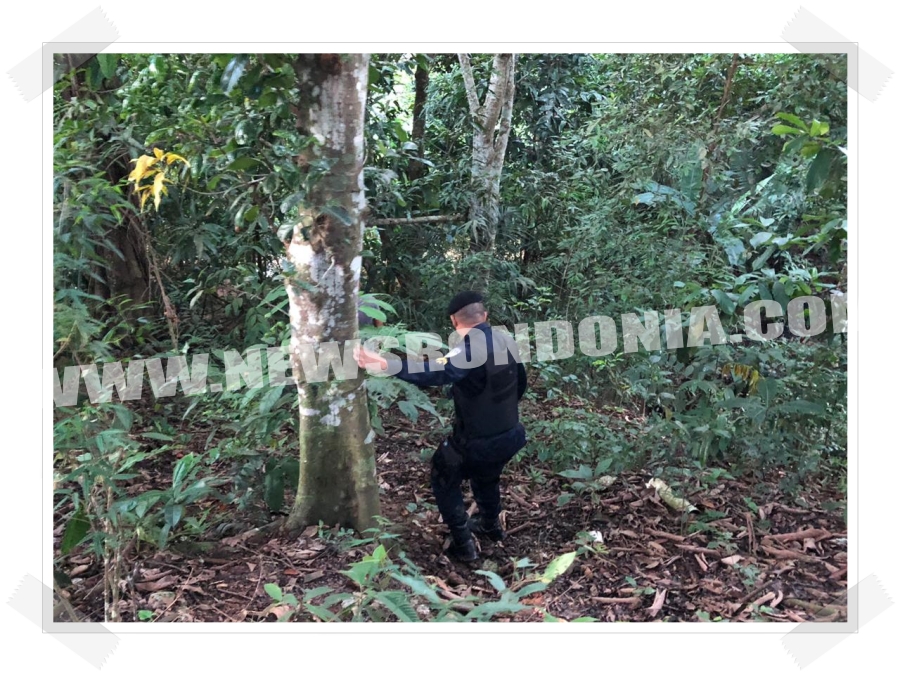 ATUALIZADA: Cadáver é encontrado em igarapé da zona sul - IMAGENS FORTES - News Rondônia