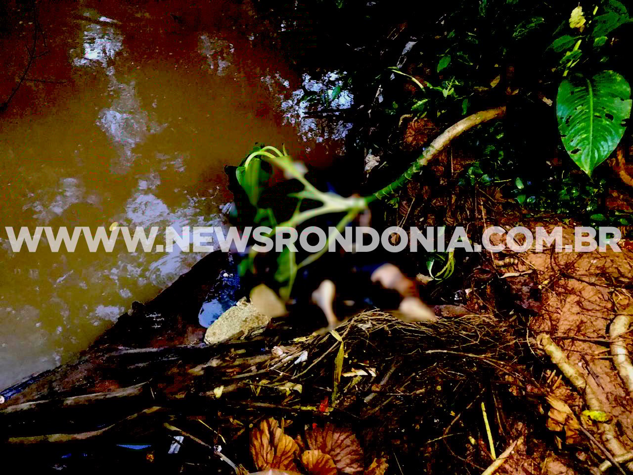 ATUALIZADA: Cadáver é encontrado em igarapé da zona sul - IMAGENS FORTES - News Rondônia