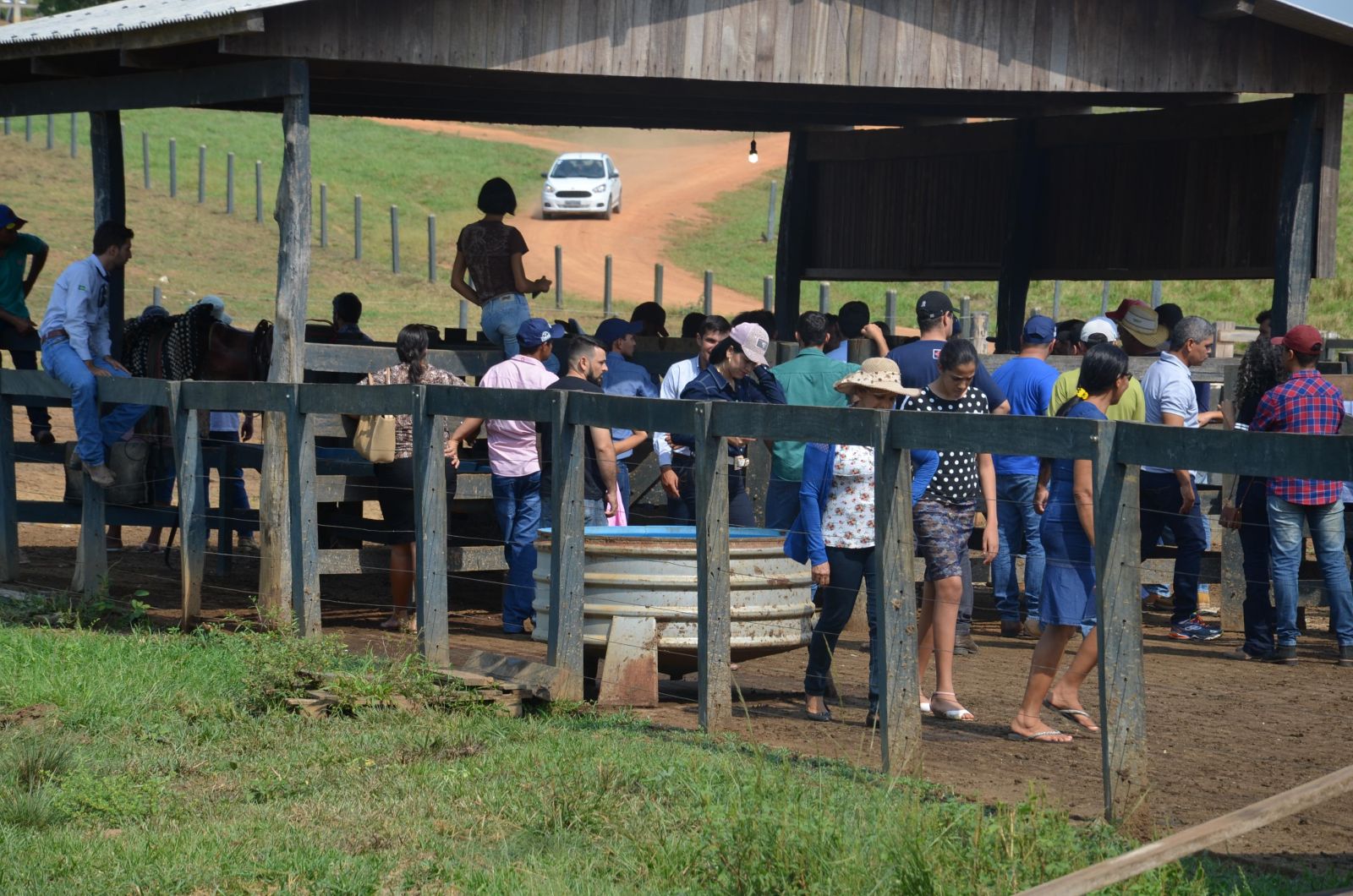 SEMAIC REALIZA DIA DE CAMPO COM TEMA VOLTADO PARA A PRODUÇÃO LEITEIRA - News Rondônia