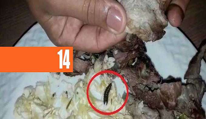 COMIDA ESTRAGADA E COM LARVA, SERVIDA EM FESTA DE 15 ANOS, VIRA CASO DE POLÍCIA, EM JARU - News Rondônia