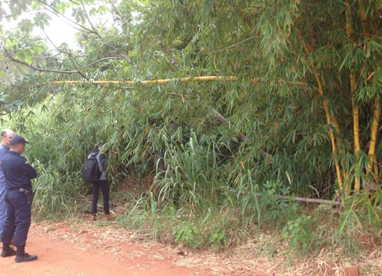 JOVEM QUE ESTAVA DESAPARECIDO É ENCONTRADO MORTO - News Rondônia