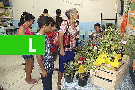 ALUNOS COLOCAM EM PRÁTICA PROJETO JEPP DO SEBRAE EM RONDÔNIA - News Rondônia