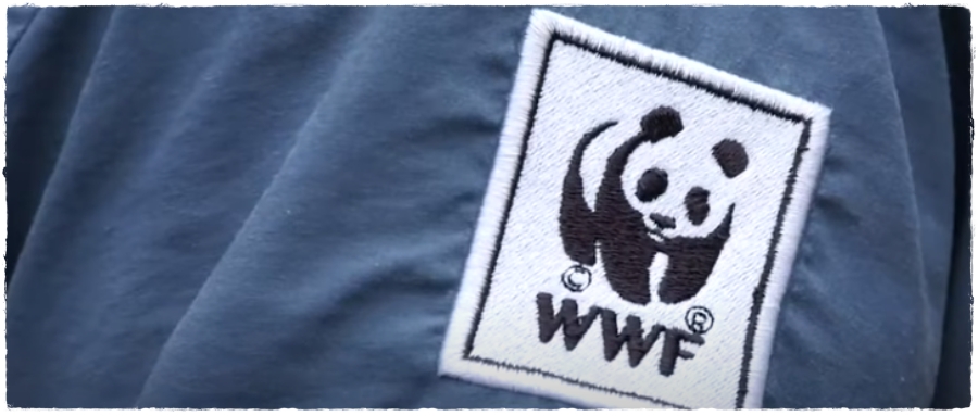 Kanindé e WWF - Brasil montam parceria com foco em ampliar o conhecimento dos povos indígenas - News Rondônia
