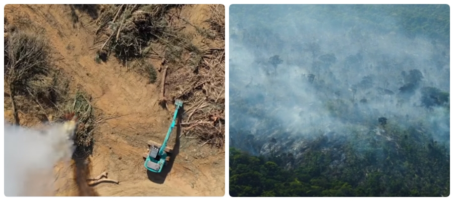 Kanindé e WWF - Brasil montam parceria com foco em ampliar o conhecimento dos povos indígenas - News Rondônia