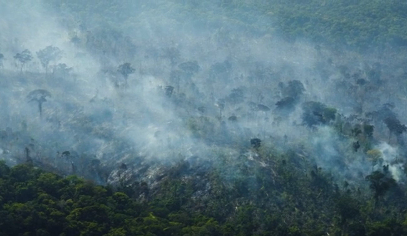 Kanindé e WWF - Brasil montam parceria com foco em ampliar o conhecimento dos povos indígenas - News Rondônia