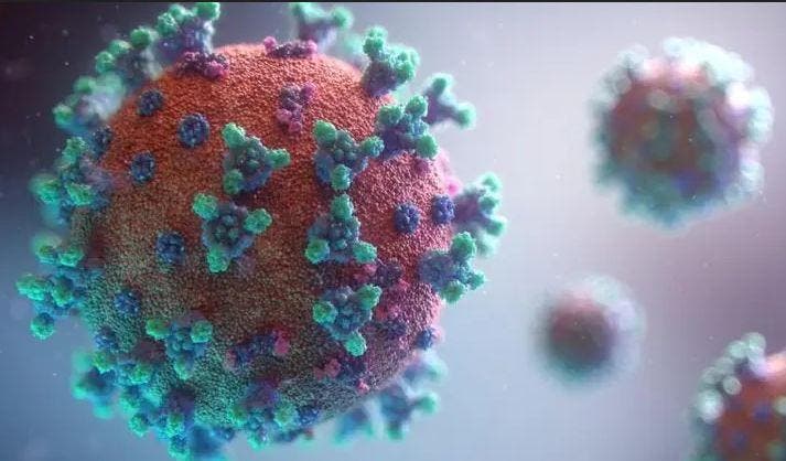 Vacinas Pfizer e AstraZeneca são efetivas contra variante indiana do coronavírus, diz estudo - News Rondônia