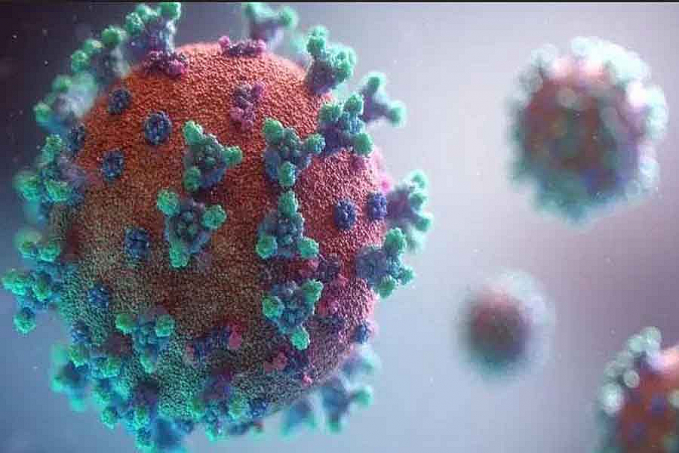Vacinas Pfizer e AstraZeneca são efetivas contra variante indiana do coronavírus, diz estudo - News Rondônia
