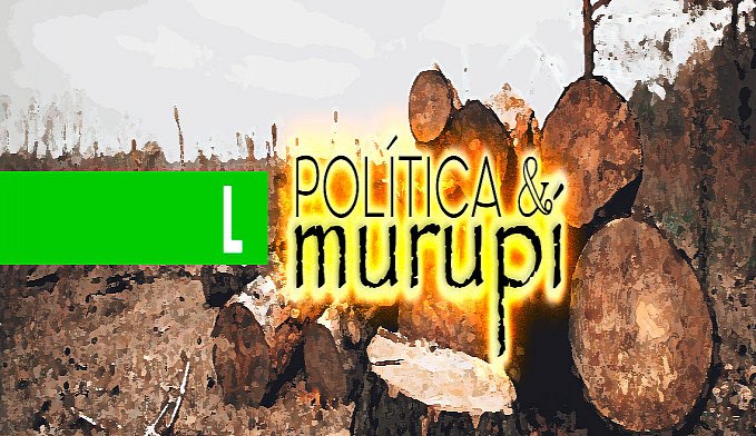POLÍTICA & MURUPI: DESMATAMENTO - News Rondônia
