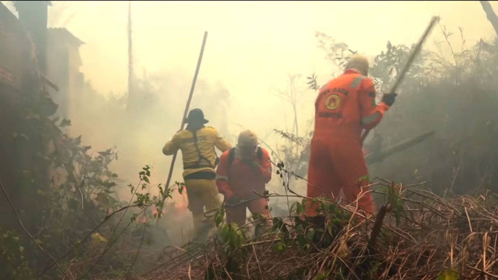 QUEIMADAS: PREFEITURA DE PORTO VELHO AUTORIZA FRANCESES A DIVULGAR ATUAÇÃO CONTRA INCÊNDIOS - News Rondônia