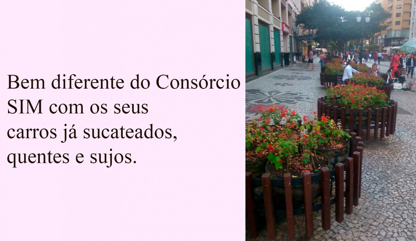 CURITIBA E PORTO VELHO: NADA A VER - POR PROFESSOR NAZARENO - News Rondônia