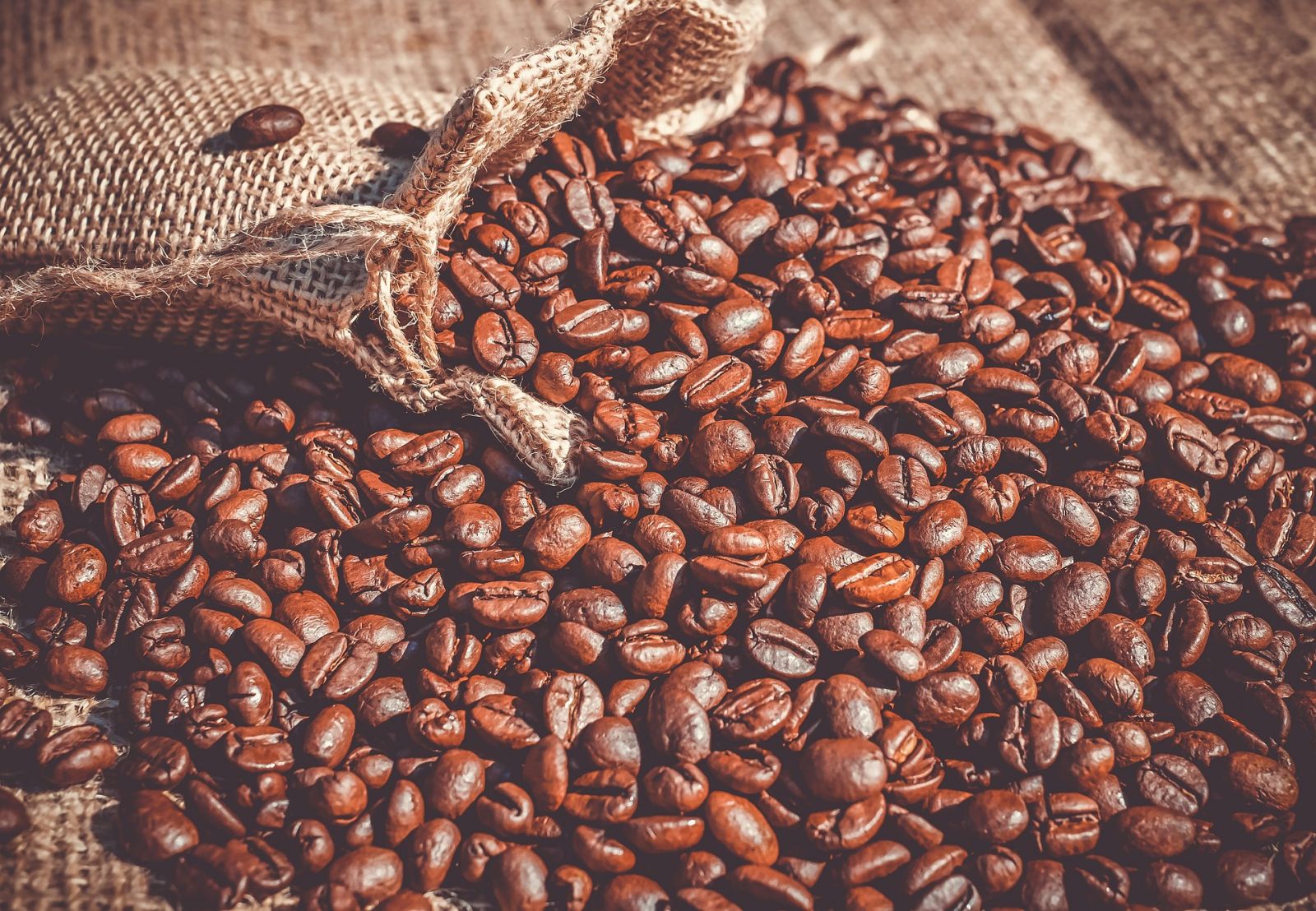 CONAB CONFIRMA: BRASIL TERÁ A MAIOR PRODUÇÃO DE CAFÉ DA HISTÓRIA COM QUASE 60 MILHÕES DE SACAS - News Rondônia