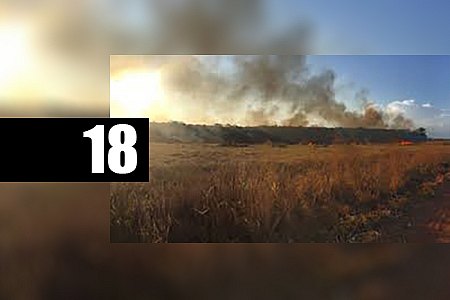 JARU: FILHO ENCONTRA PAI MORTO EM QUEIMADA DE PASTO NA ZONA RURAL DE TARILÂNDIA - News Rondônia