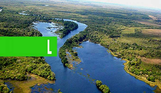 VITÓRIA PARA RONDÔNIA: 2019 FINALIZA O ANO COM ÍNDICE DE DESMATAMENTO MENOR QUE EM 2018 - News Rondônia