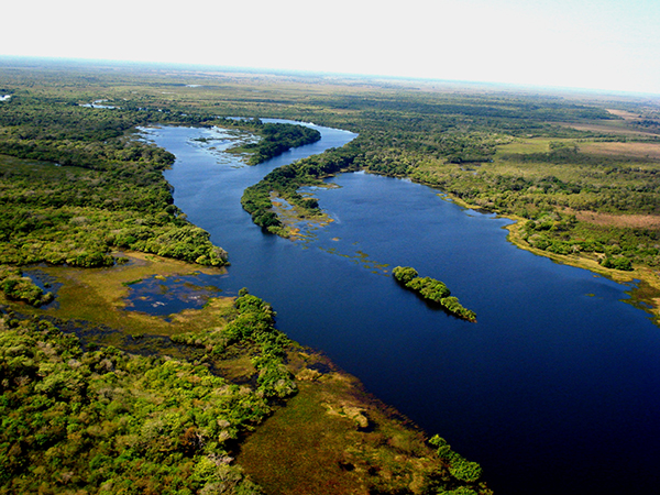 VITÓRIA PARA RONDÔNIA: 2019 FINALIZA O ANO COM ÍNDICE DE DESMATAMENTO MENOR QUE EM 2018 - News Rondônia