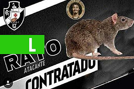 RATO NO GRAMADO EM JOGO DO VASCO EM SÃO JANUÁRIO GERA MEMES; VEJA - News Rondônia